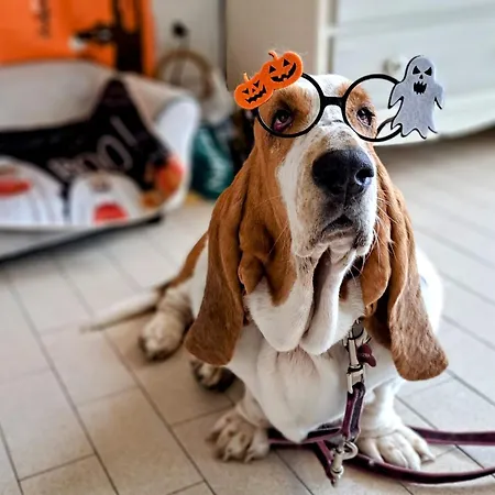 בית נופש Casa Frida *