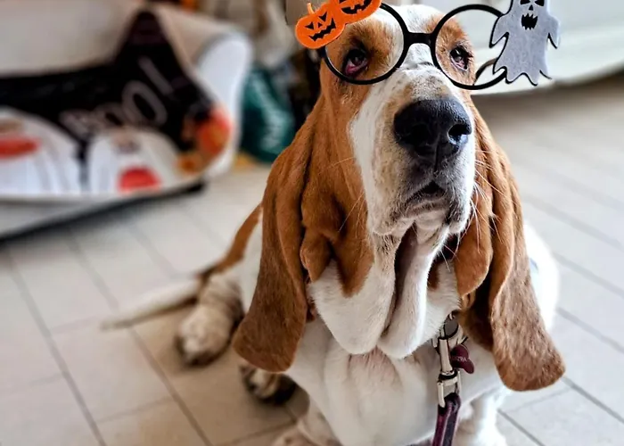 Сasa de vacaciones Casa Frida *